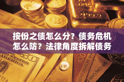武汉按份之债怎么分？债务危机怎么防？法律角度拆解债务分配与风险自保指南