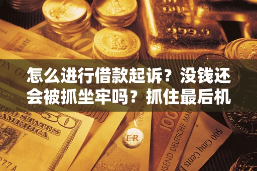 武汉怎么进行借款起诉？没钱还会被抓坐牢吗？抓住最后机会！