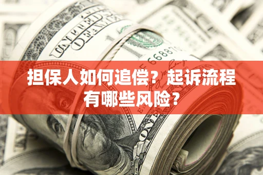 武汉担保人如何追偿？起诉流程有哪些风险？