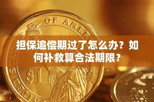 武汉担保追偿期过了怎么办？如何补救算合法期限？