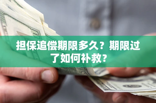 武汉担保追偿期限多久？期限过了如何补救？