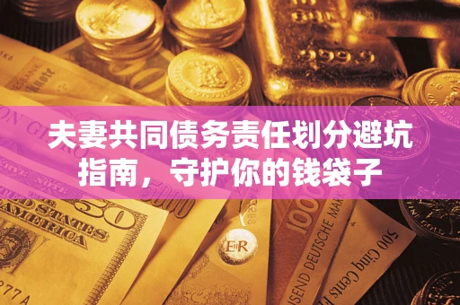 武汉夫妻共同债务责任划分避坑指南，守护你的钱袋子