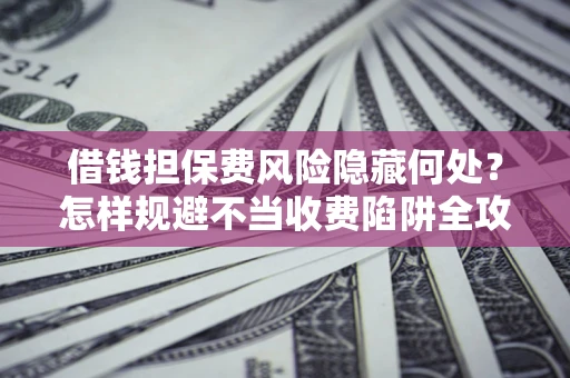 武汉借钱担保费风险隐藏何处？怎样规避不当收费陷阱全攻略！