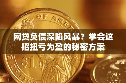 武汉网贷负债深陷风暴？学会这招扭亏为盈的秘密方案